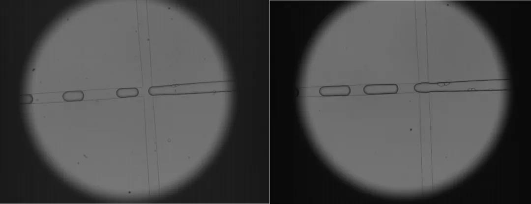 �������ǲ�(�й�)����-�ٷ���վ