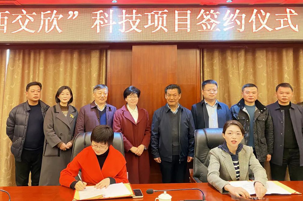 �������ǲ�(�й�)����-�ٷ���վ