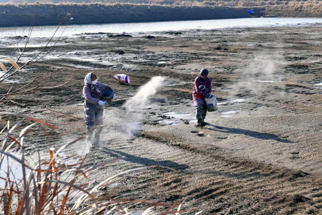 �������ǲ�(�й�)����-�ٷ���վ