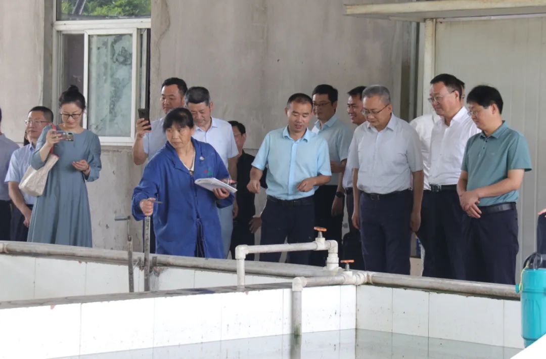 �������ǲ�(�й�)����-�ٷ���վ