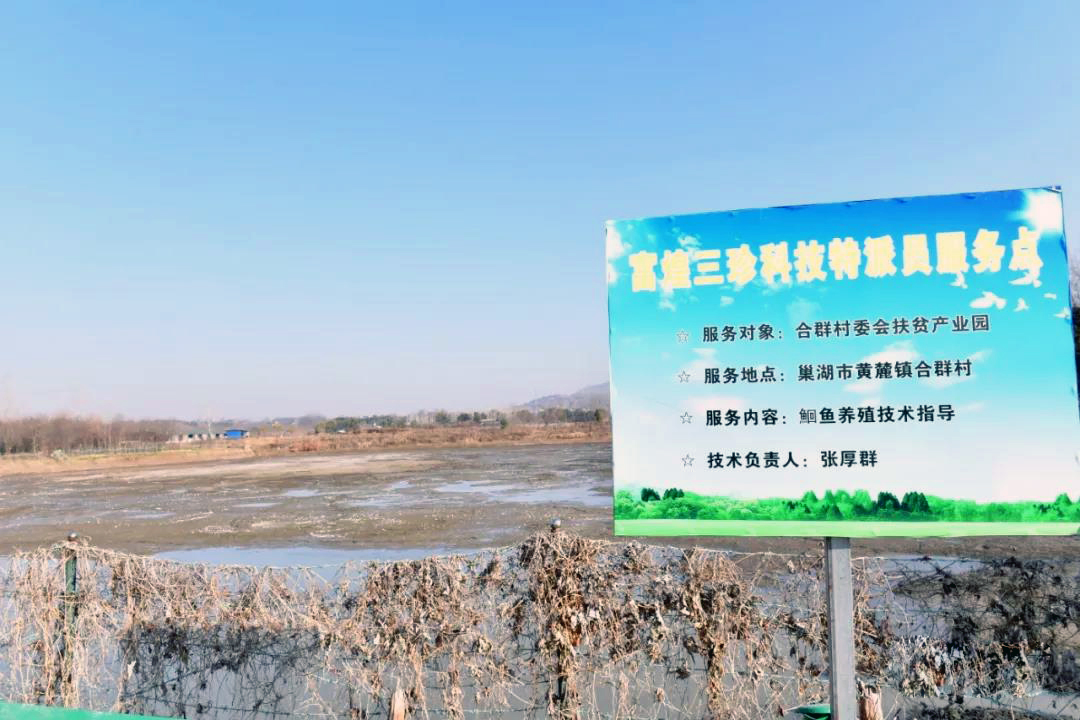 �������ǲ�(�й�)����-�ٷ���վ