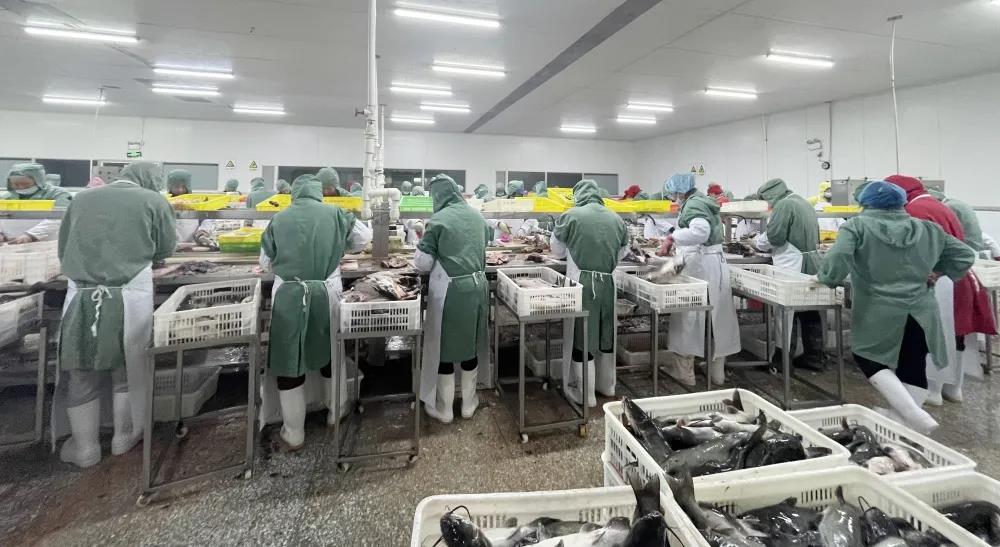 �������ǲ�(�й�)����-�ٷ���վ