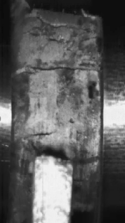 �������ǲ�(�й�)����-�ٷ���վ