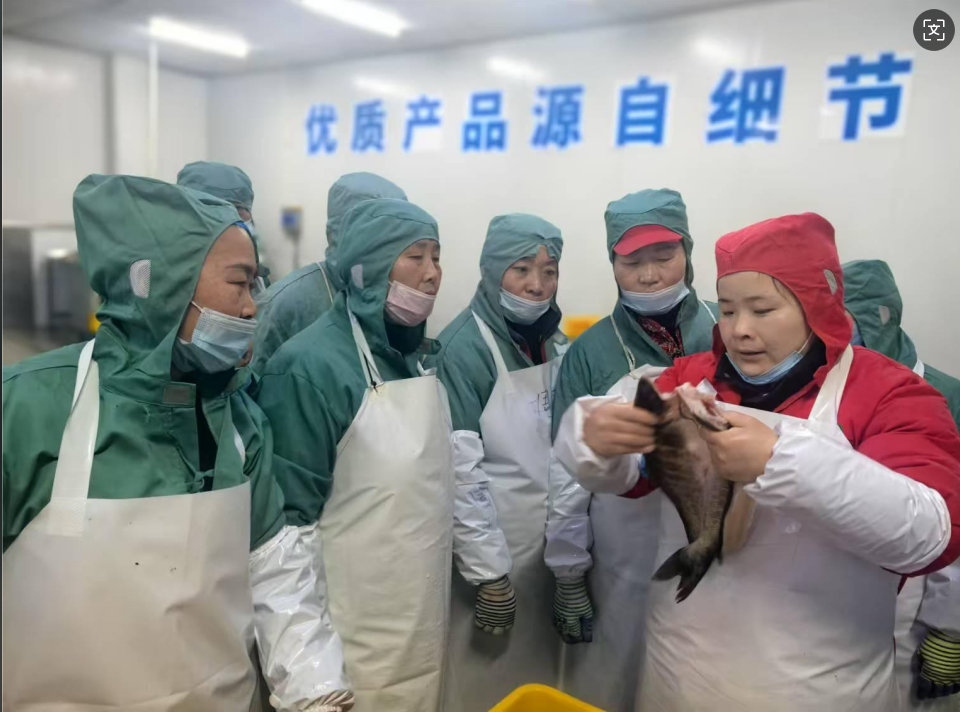 �������ǲ�(�й�)����-�ٷ���վ