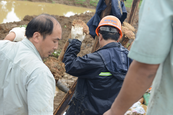 �������ǲ�(�й�)����-�ٷ���վ