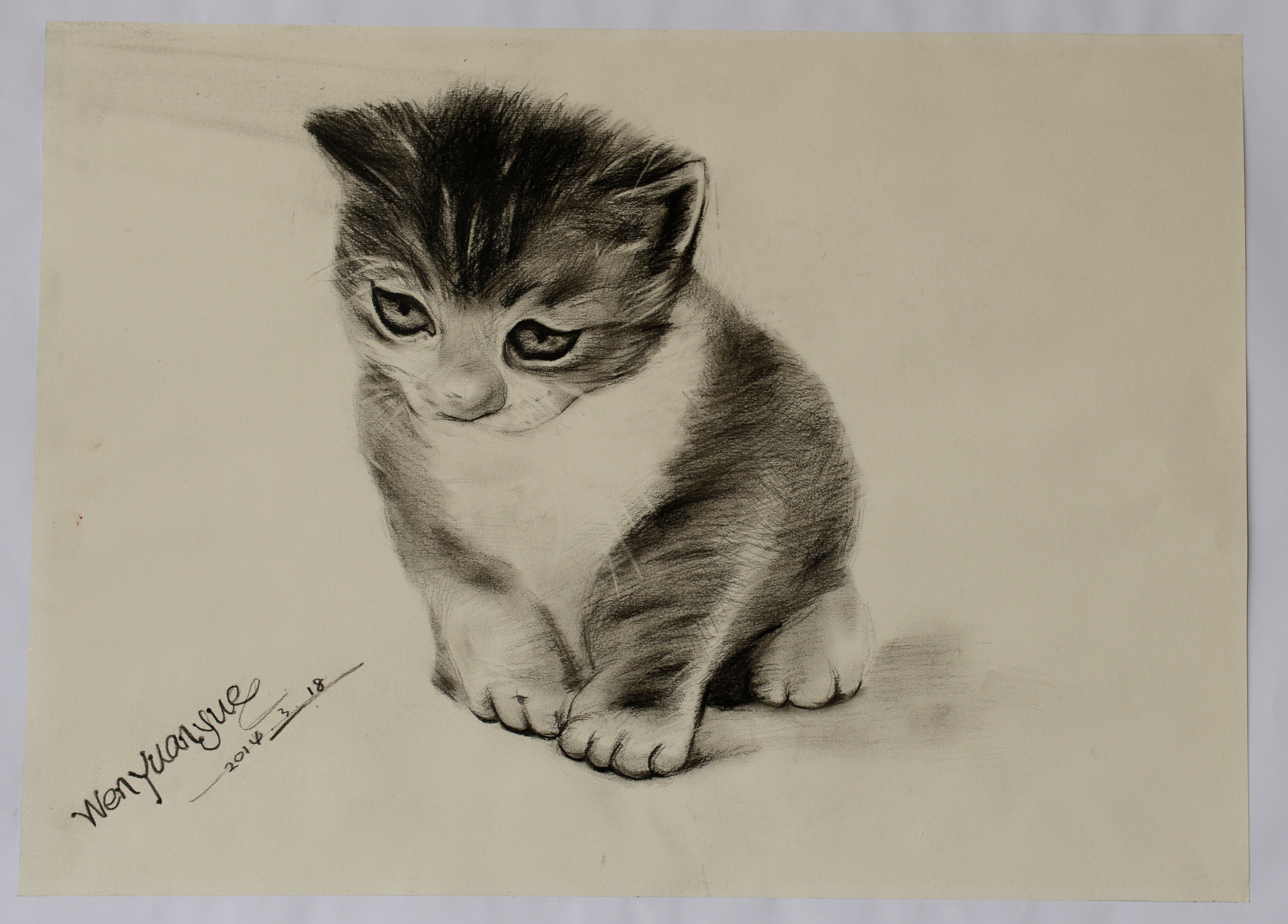 �������ǲ�(�й�)����-�ٷ���վ