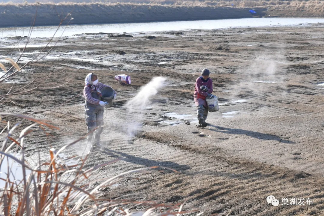 �������ǲ�(�й�)����-�ٷ���վ