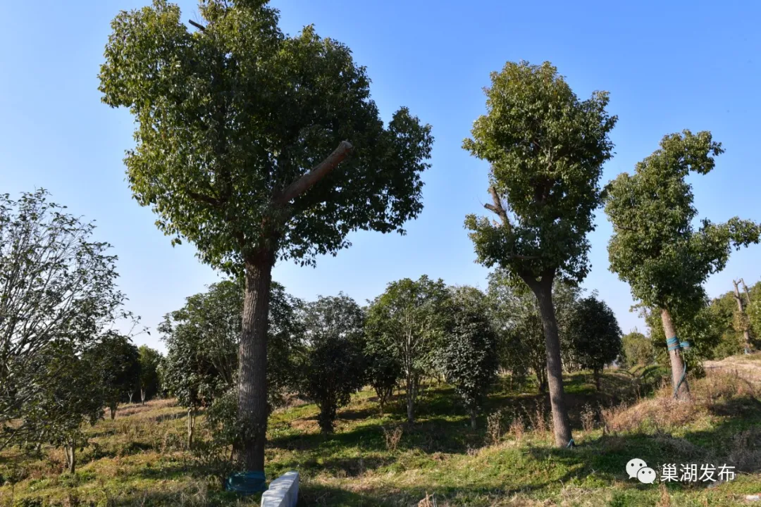 ÈËÉú¾ÍÊDz«(Öйú)¼¯ÍÅ-¹Ù·½ÍøÕ¾