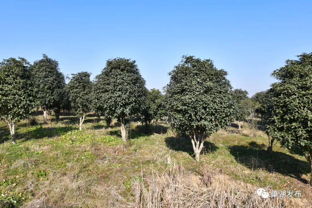 ÈËÉú¾ÍÊDz«(Öйú)¼¯ÍÅ-¹Ù·½ÍøÕ¾