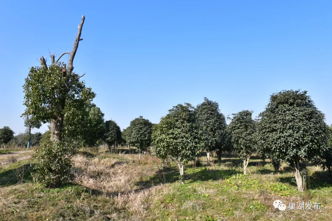 ÈËÉú¾ÍÊDz«(Öйú)¼¯ÍÅ-¹Ù·½ÍøÕ¾