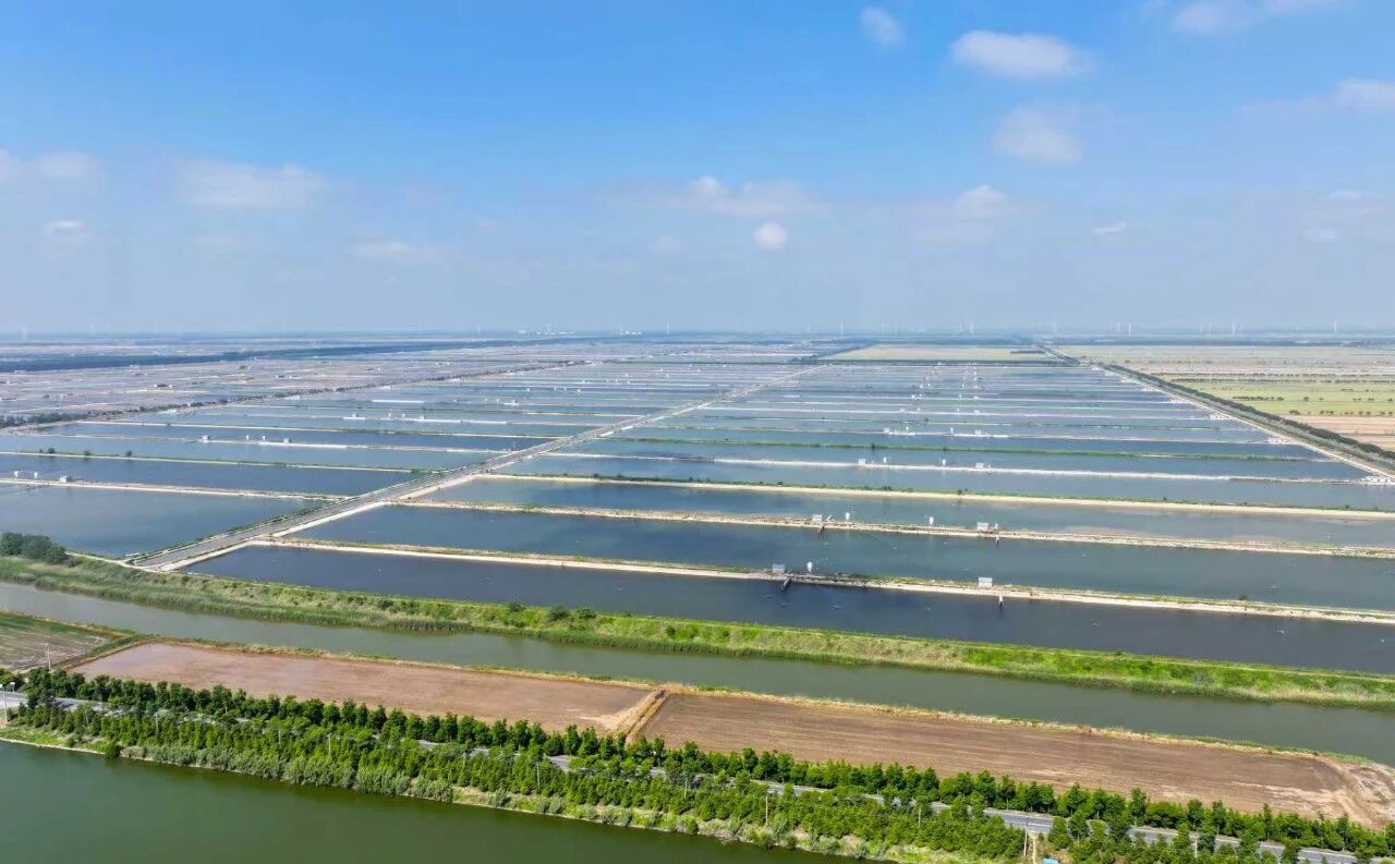 �������ǲ�(�й�)����-�ٷ���վ