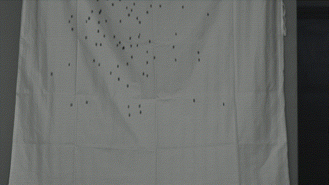 �������ǲ�(�й�)����-�ٷ���վ