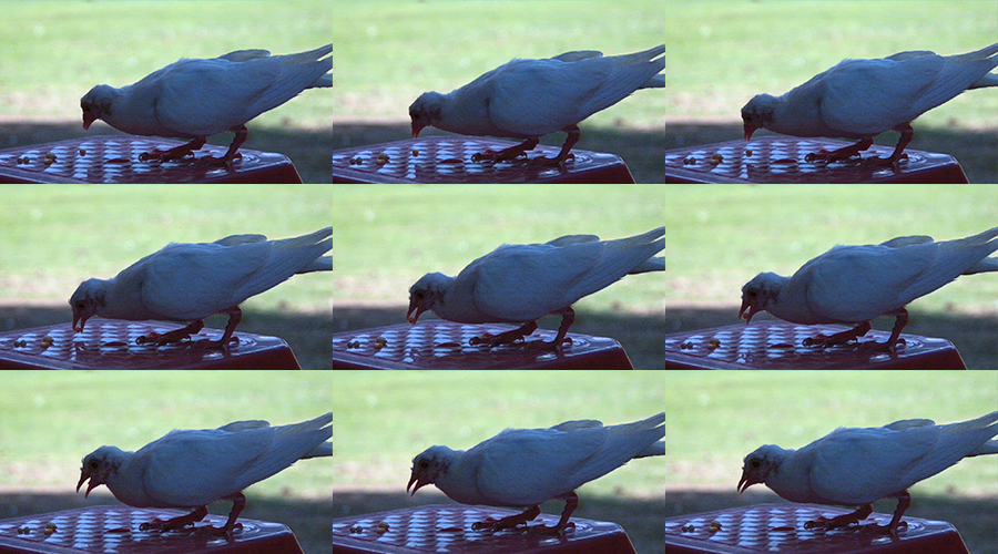 �������ǲ�(�й�)����-�ٷ���վ