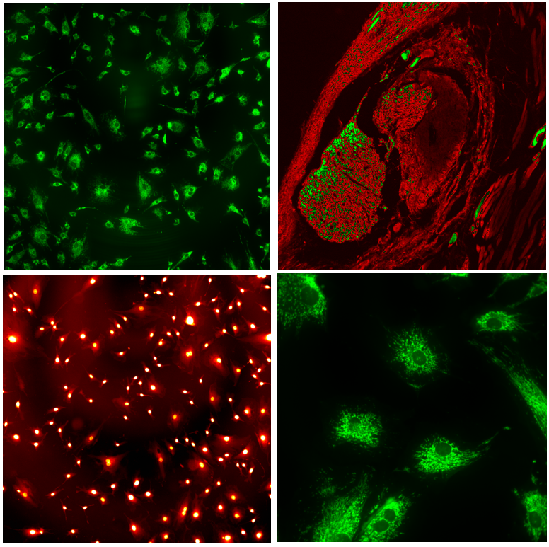 人生就是搏(中国)集团-官方网站